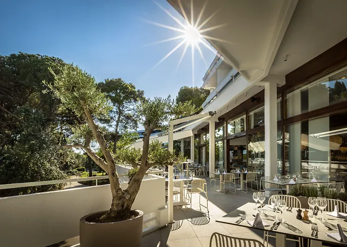 Eden By Maistra Collection